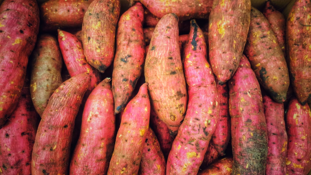Yam